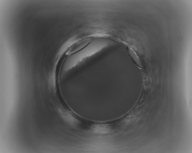 X0000111520296200907211229