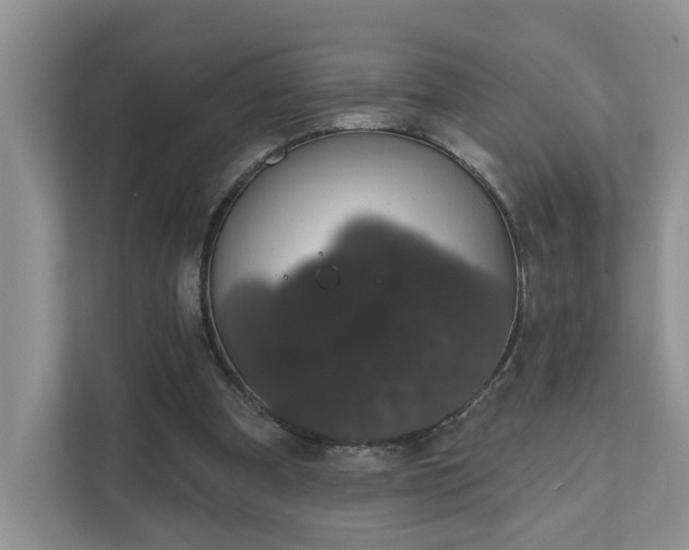 X0000111520297200907211229