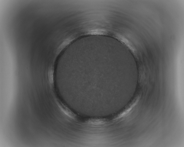 X0000111520299200907211229