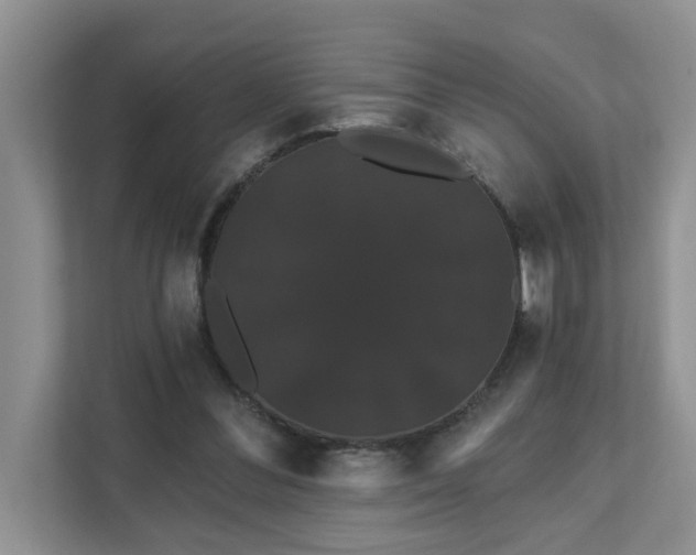 X0000111520300200907211229