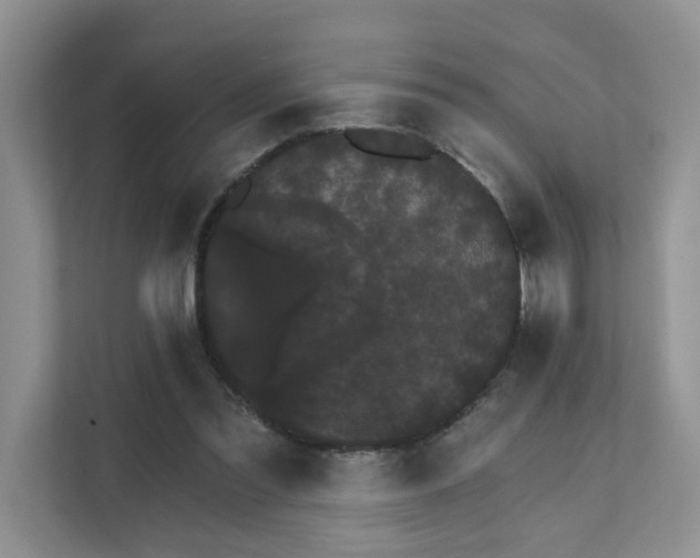 X0000111520301200907211229