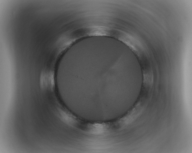 X0000111520302200907211229