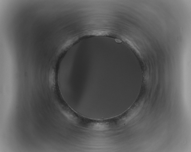 X0000111520303200907211229