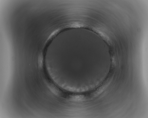 X0000111520304200907211229