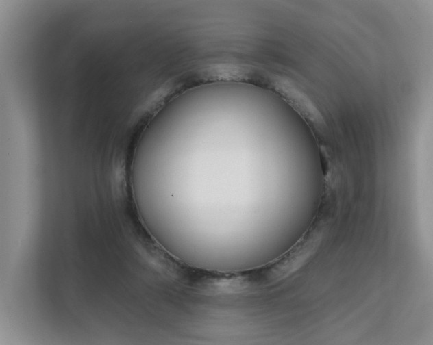 X0000111520306200907211229