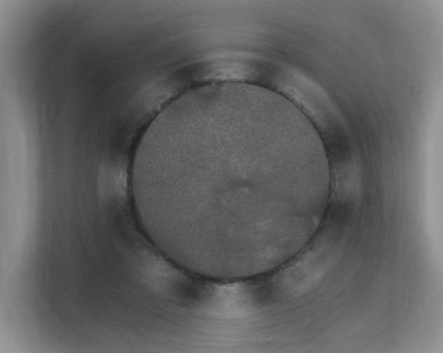X0000111520309200907211229