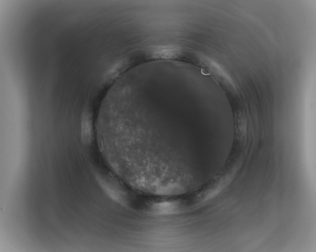 X0000111520312200907211229