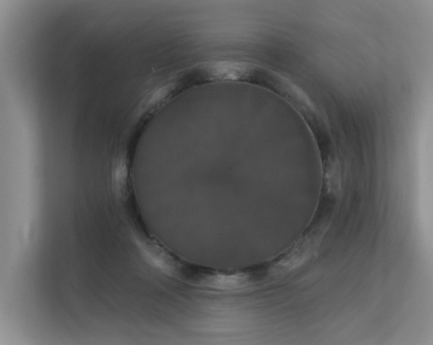 X0000111520314200907211229