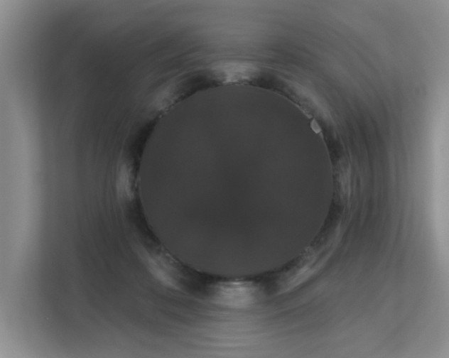 X0000111520316200907211229