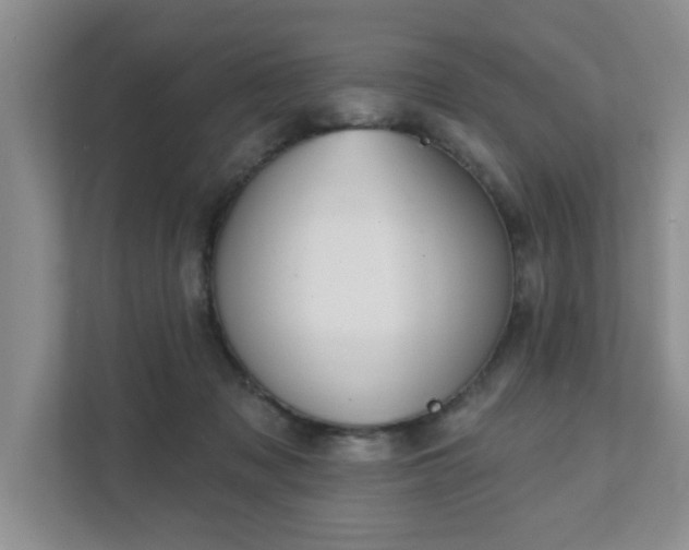 X0000111520317200907211229