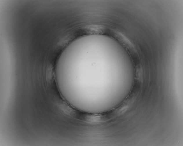 X0000111520318200907211229