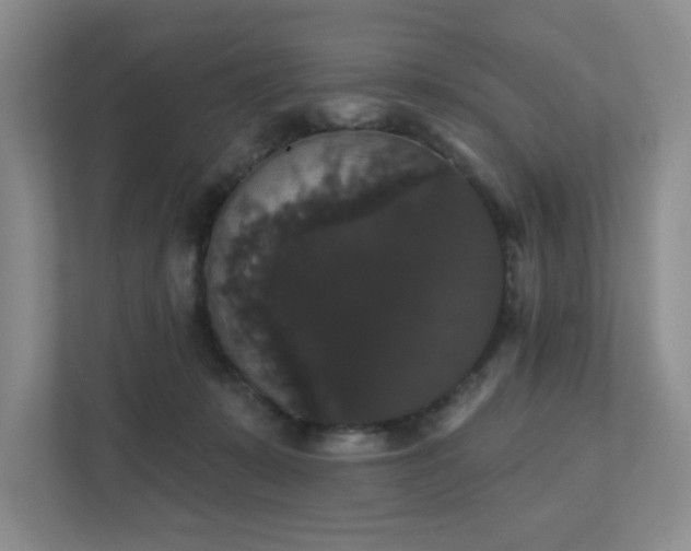 X0000111520319200907211229