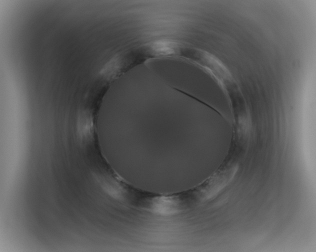 X0000111520320200907211229