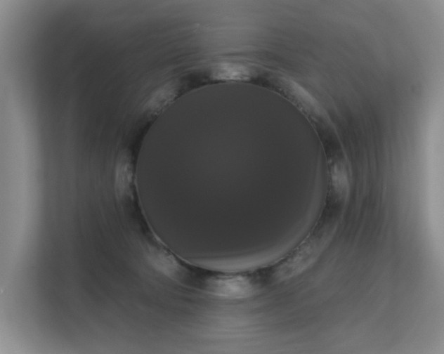 X0000111520322200907211229