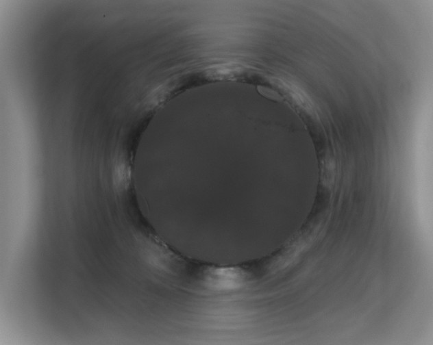 X0000111520324200907211229