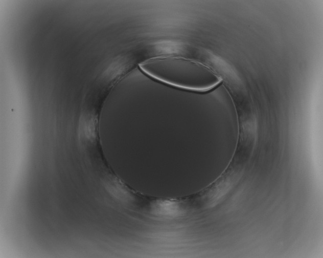 X0000111520325200907211229