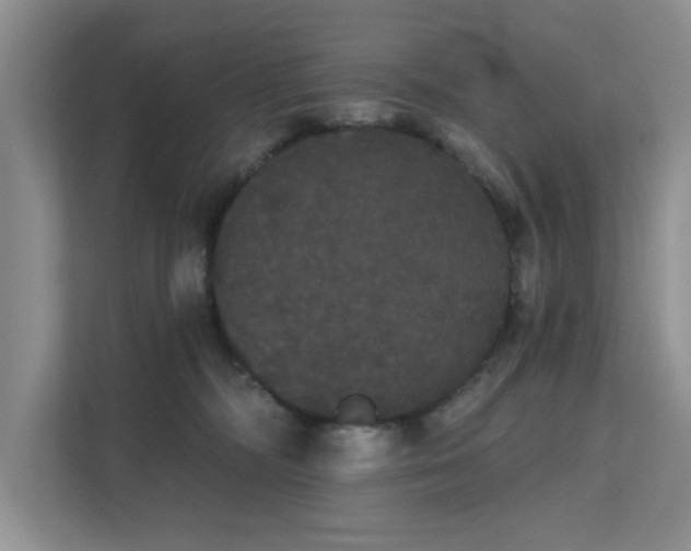 X0000111520326200907211229