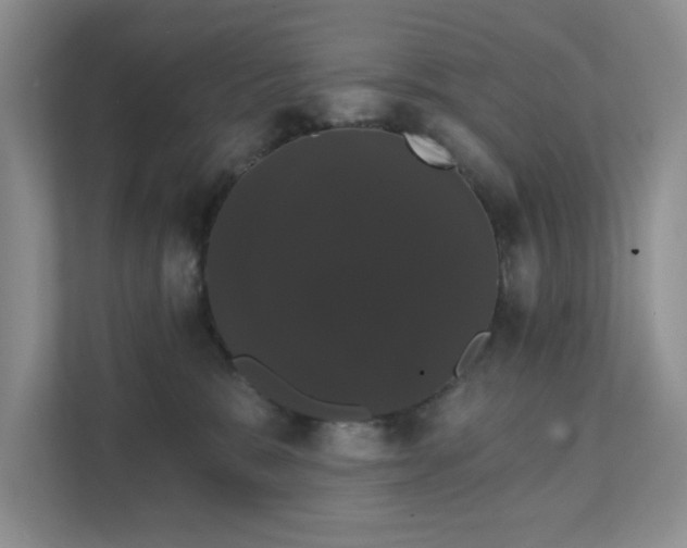 X0000111520327200907211229