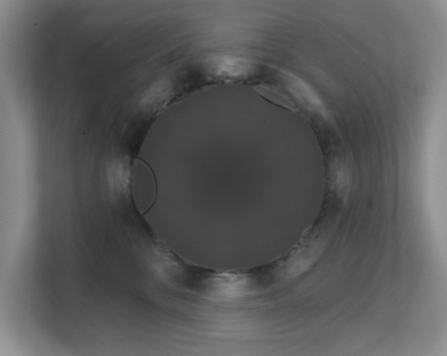 X0000111520328200907211229