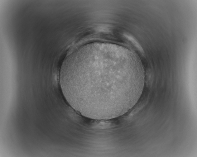 X0000111520329200907211229
