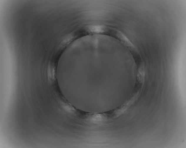 X0000111520330200907211229
