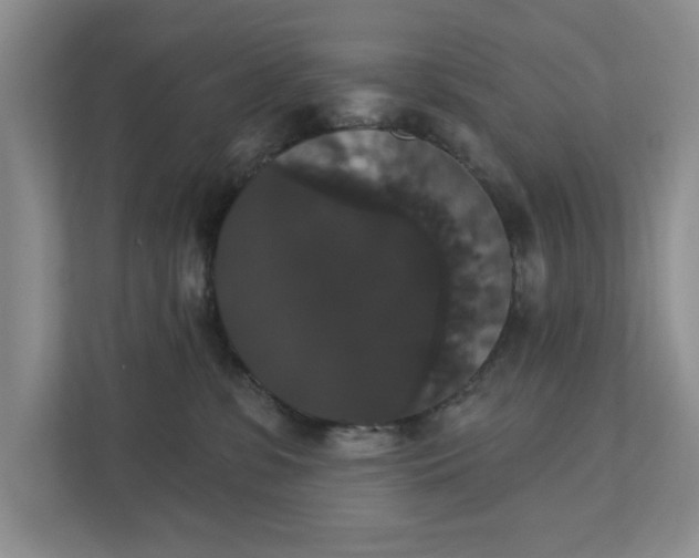 X0000111520331200907211229