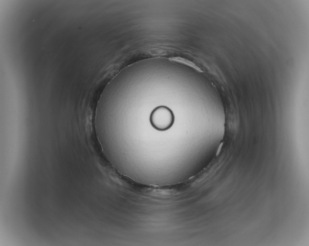 X0000111520332200907211229