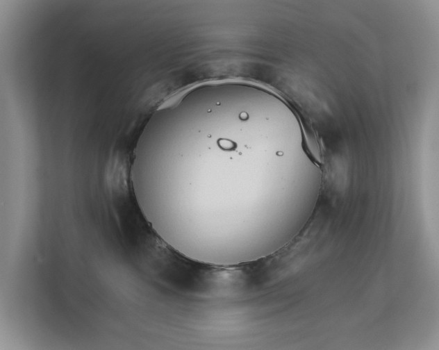 X0000111520333200907211229