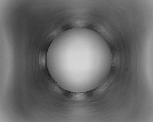 X0000111520334200907211229