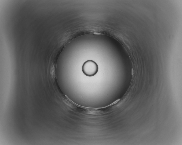 X0000111520336200907211229