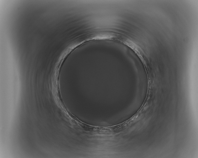 X0000111520337200907211228