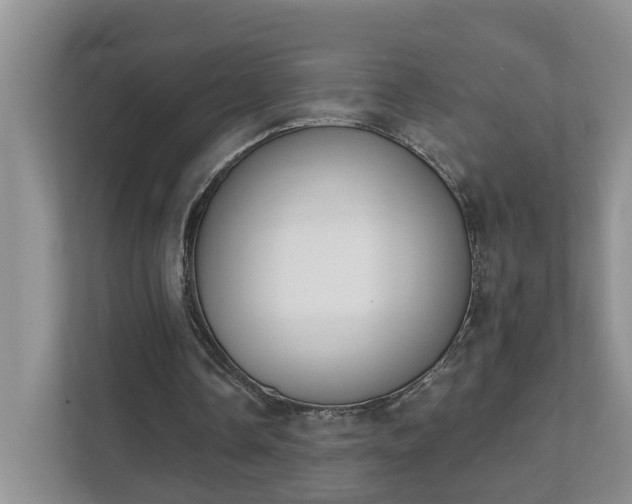 X0000111520338200907211228