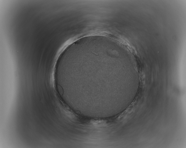 X0000111520340200907211228