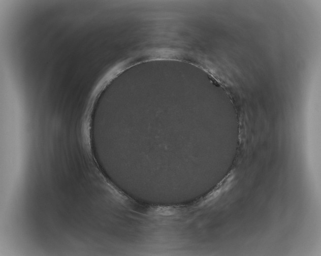 X0000111520341200907211228