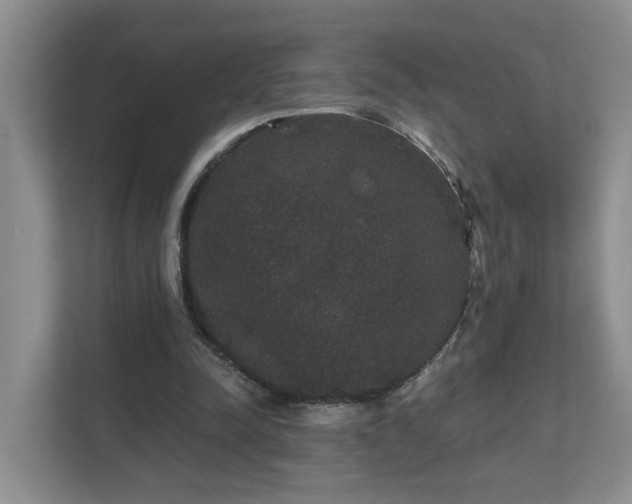 X0000111520342200907211228