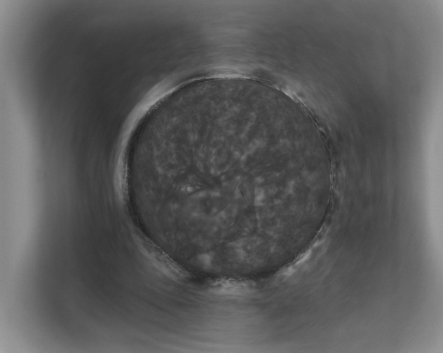 X0000111520343200907211228