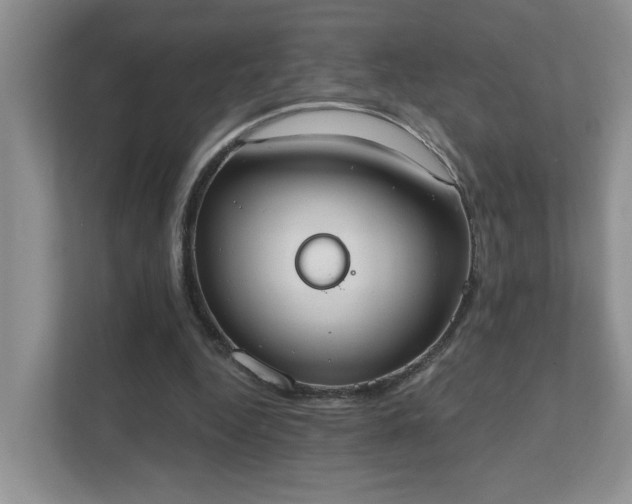 X0000111520344200907211228