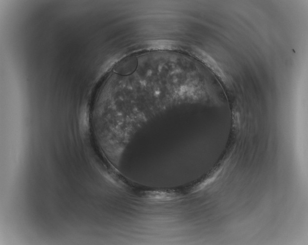 X0000111520347200907211228