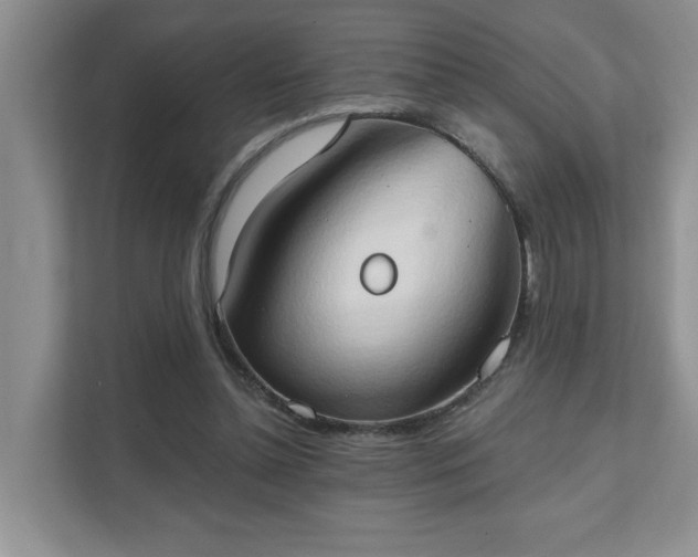 X0000111520348200907211228