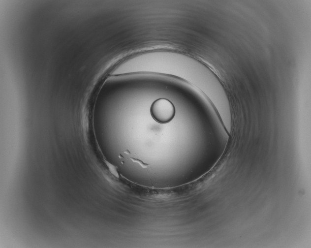 X0000111520350200907211229