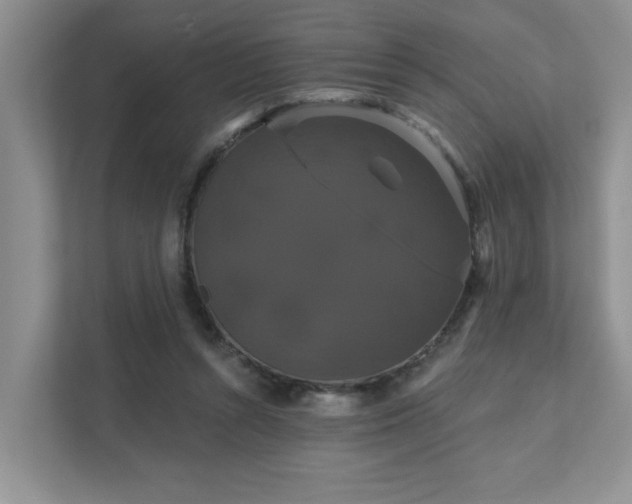 X0000111520352200907211229
