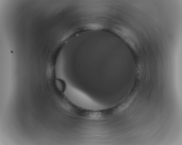 X0000111520355200907211229