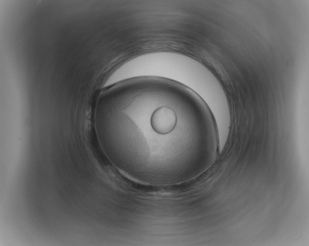X0000111520356200907211229