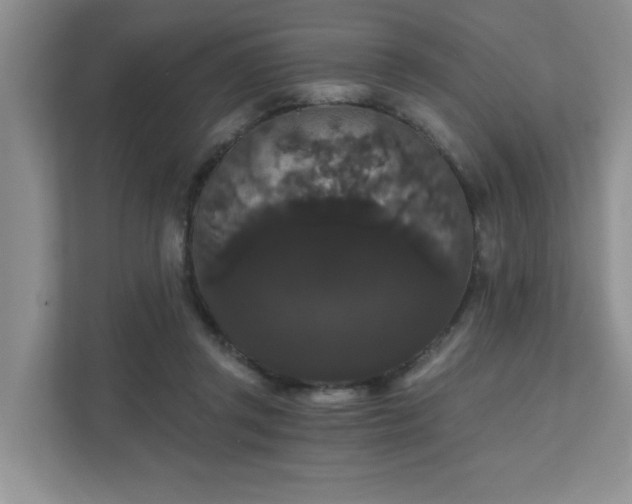 X0000111520357200907211229
