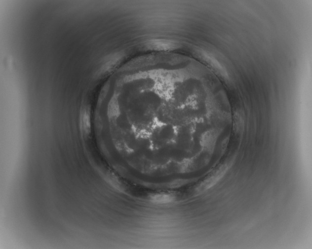 X0000111520358200907211229