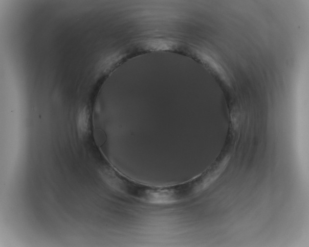 X0000111520359200907211229