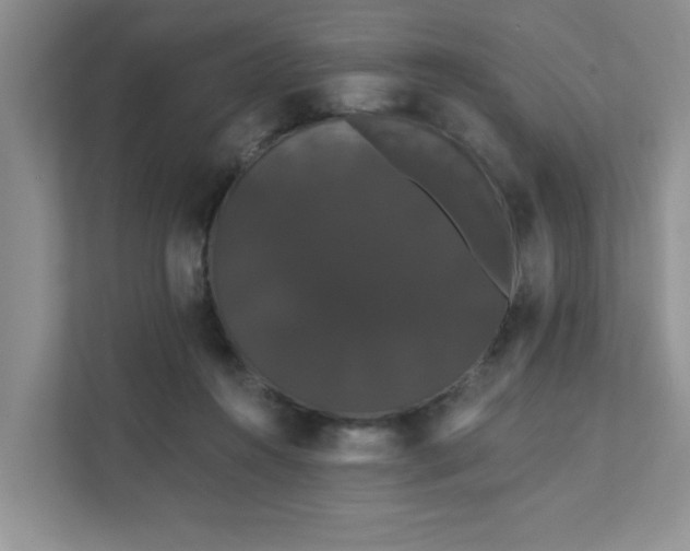 X0000111520360200907211229