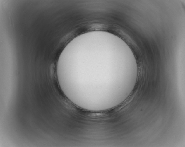 X0000111520361200907211229