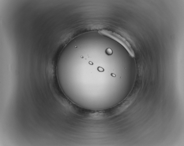 X0000111520362200907211229