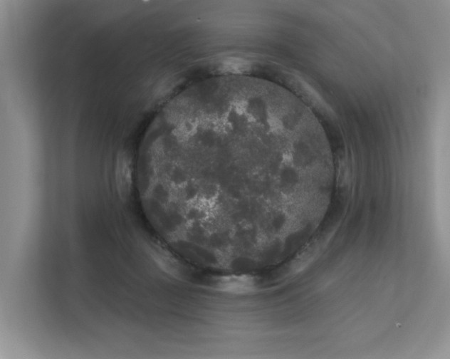 X0000111520363200907211229